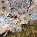 서시천자전거길1 이미지