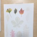 아름다운 꽃 그림 보타니컬아트 이미지