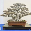 중화고등학교 이미지