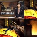 광온 이미지