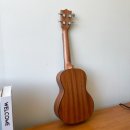 초등우쿨렐레 이미지