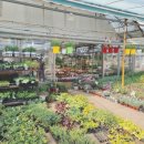 자양꽃직매장 이미지