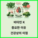 비타민K 티스토리