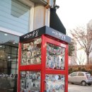 미용하는 강아지 살롱 이미지