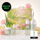 김정문알로에 논공행복점 | 김정문알로에 큐어 피토 라인 기초 4종 선물세트 (쇼핑백 증정) : 김정문알로에 솔직 후기