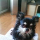 옹기종기 이미지