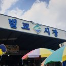 벌교읍사무소 이미지