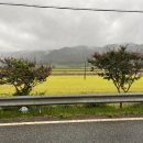 동락점빵사회적협동조합 이미지