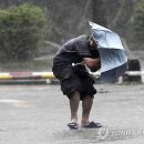 동부 비상-10호 이미지