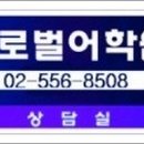 와이비글로벌