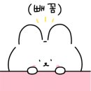 프로틴더하다 네이버블로그