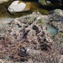 남강축산 이미지