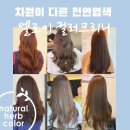 허브헤어미용실 이미지