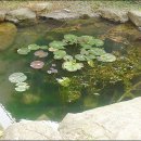 보광사 - 7638 | 보광사