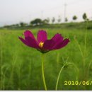 태장공업사 이미지