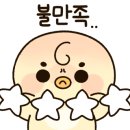 버드글램핑 이미지