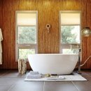 라드라비 이미지