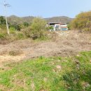 용천사슴목장 이미지