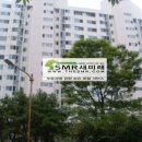 대명태권도체육관 이미지