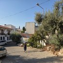 다인커뮤니케이션 | [셀축] 2025.08.07. 목. - 2025.08.09. 토. 아르테미스는 모든 여성의 마음속 아마존이다