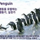 퍼스트펭귄