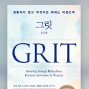 그릿 이미지