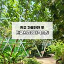 판교환경생태학습원 | 성남 판교 가볼만한 곳, 아이와 함께 무료로 즐기는 판교환경생태학습원 후기