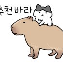 24시전주명가콩나물국밥월배점 이미지