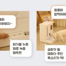 지니앱 | 넥스트유 펫지니 자동 급식기, 살 만한가요? — 스펙·후기로 정직하게 따져봤어요