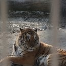 달성공원 이미지