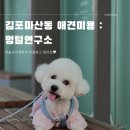 멍털연구소 이미지