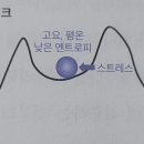 엔트로피 이미지