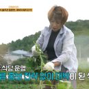 토박이식육식당