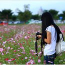 긴머리 소녀 이미지