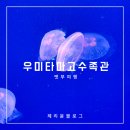 아이월드 | 후쿠오카 벳부 아이와여행 우미타마고 수족관 입장료 마린월드 비교 후기