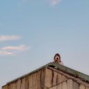 미투호텔 | [후쿠오카 여행] 가성비 캡슐 호텔 추천 &amp; 혼자 여행 코스 정리 (텐진, 하카타, 모모치 해변)