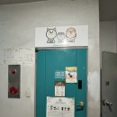 지금여기서행복하개 이미지