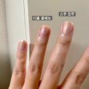 은빛연네일 | 네일) 💅🏻스프링컬렉션 🌟스쿠 진주 VS 디올 몽테뉴 발색 비교 차이점 추천제품(사진+영상)