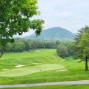 용평리조트 대중골프장 이미지