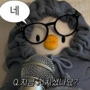 상해손짜장 | [상해]3일차ㅣ따룬파ㅣ라오지스ㅣ티엔즈팡ㅣ마그레브 기차ㅣ에그타르트ㅣ춘추항공