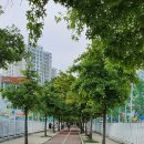 죽곡근린공원 이미지