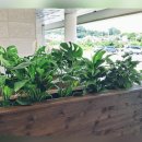 전의면복합커뮤니티센터 이미지