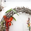 파크 블러썸 이미지