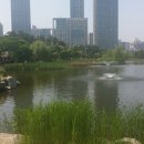 송도 해돋이공원 이미지