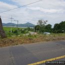 강화도공인중개사사무소 이미지