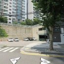 뮬라인 이미지