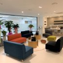 스탠다드치과 이미지