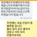 일요일의 불청객 이미지