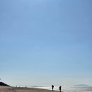 목섬칼국수 이미지