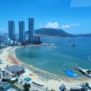 코끼리부동산중개 이미지